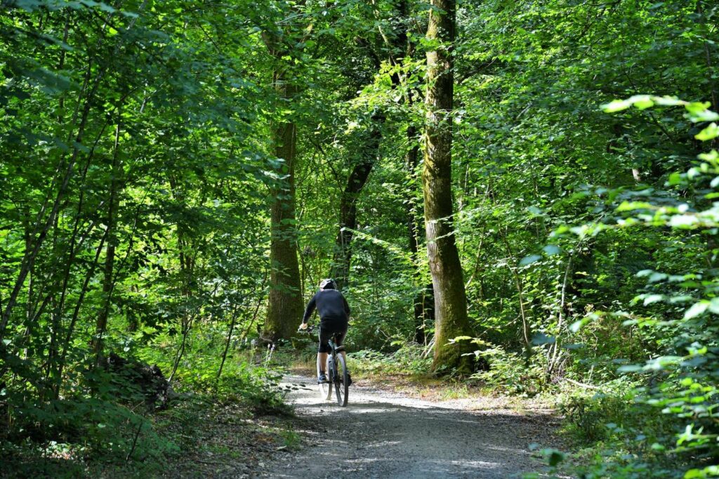 Balade à VTT dans le Bois de Soeuvres