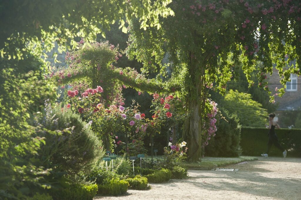 Parc du Thabor à Rennes