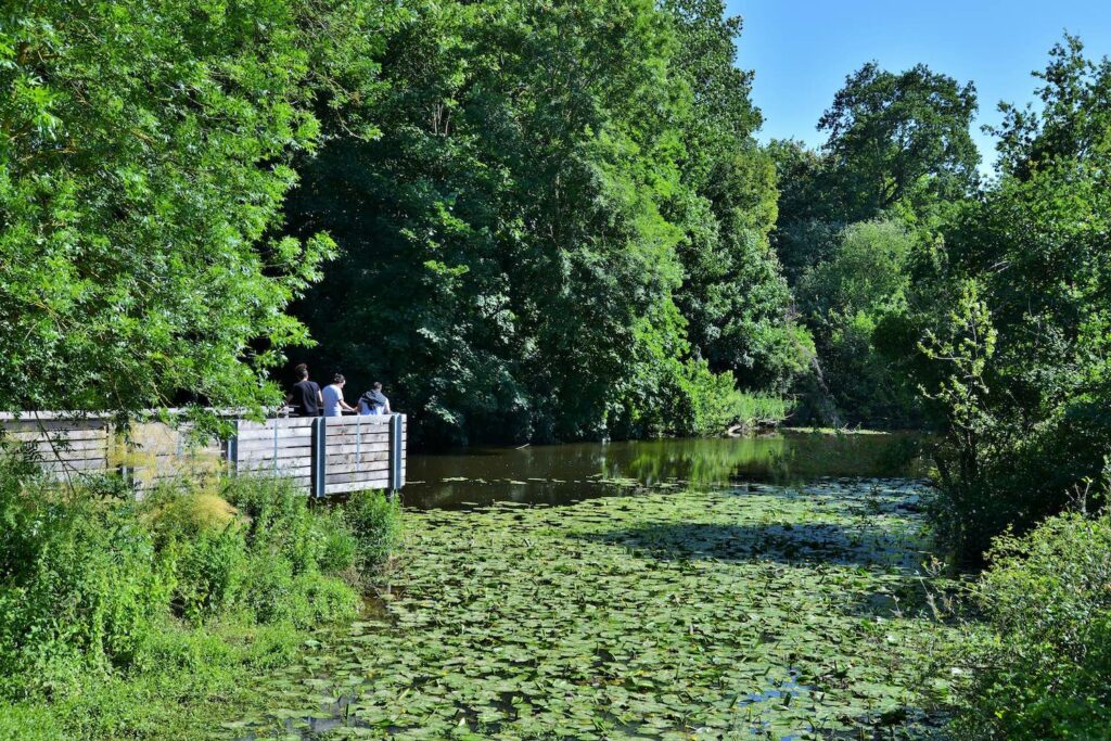 Balade dans le Bois de la Sillandais