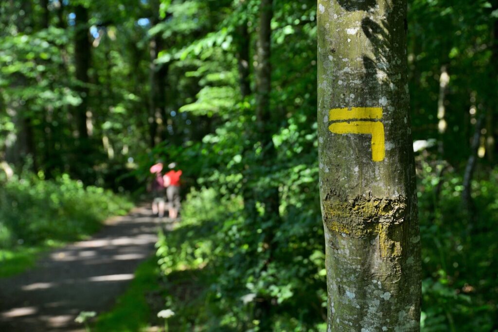 Gros plan sur le balisage d'un sentier de petite randonnée à Chavagne