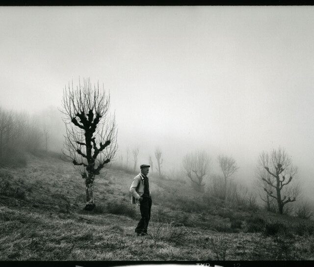 Rural - Raymond Depardon