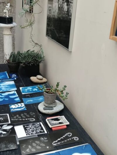 Atelier de création de cyanotypes : Rennes en bleu