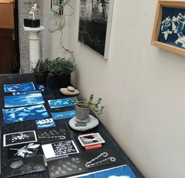 Atelier de création de cyanotypes : Rennes en bleu