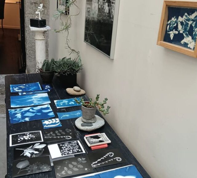 Atelier de création de cyanotypes : Rennes en bleu