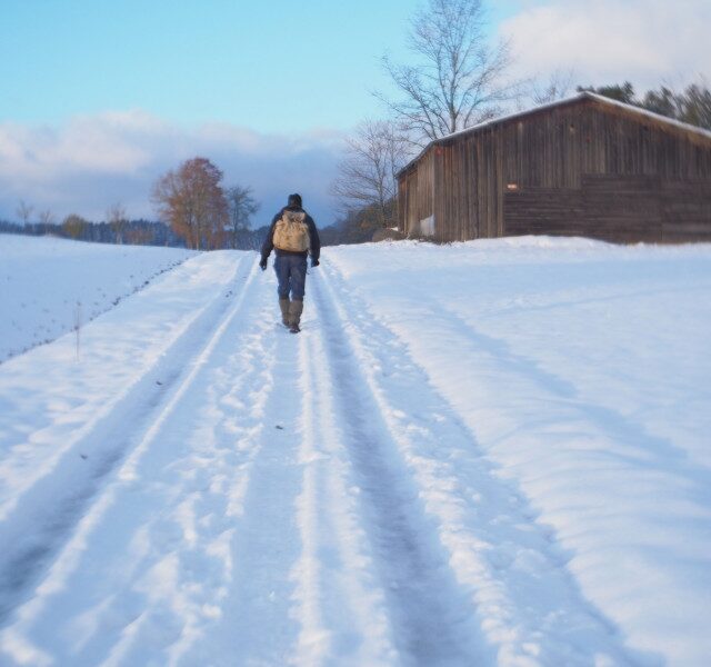 Sur le chemin des glaces - Werner Herzog / Cie La Gande Mêlée... Du 13 au 15 nov 2024