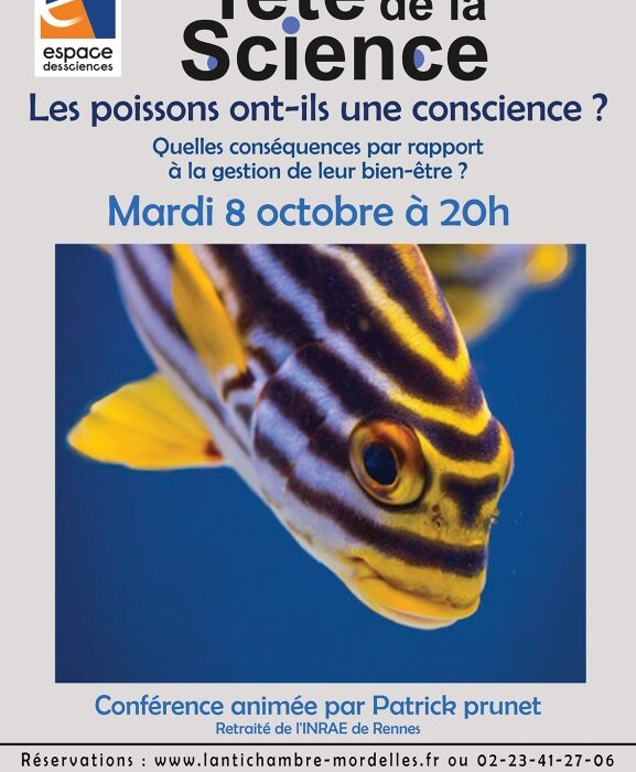 Les poissons ont-ils une conscience Le 8 oct 2024