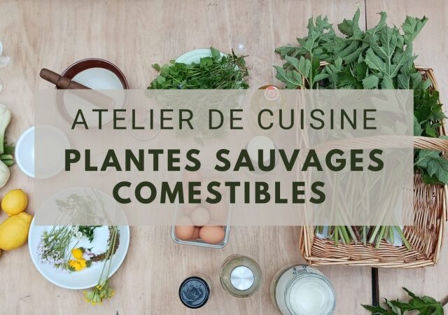 ((Atelier de cuisine)) Plantes sauvages comestibles