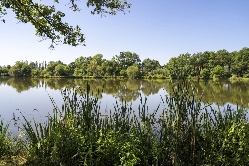 L'étang de la Vayrie à Bourgbarré près de Rennes, espace naturel Emile Bridel