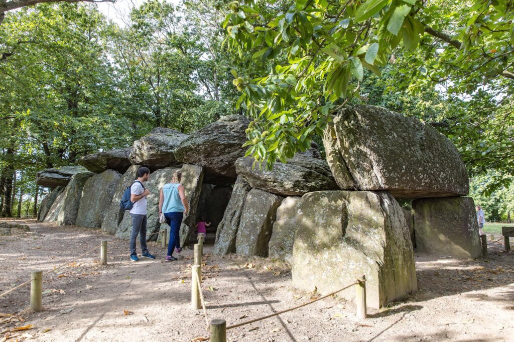 Le site mégalithique de la Roche aux Fées est le plus grand dolmen d'Europe