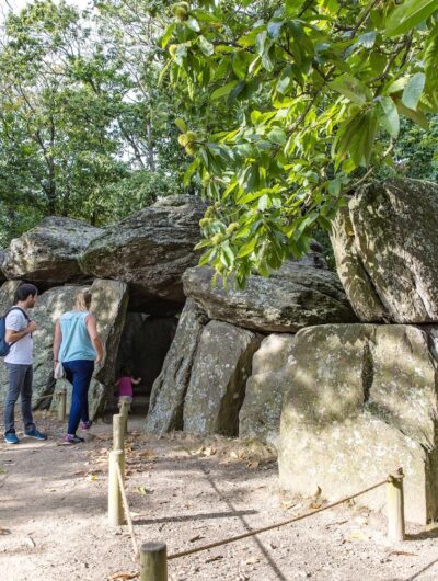 Le site mégalithique de la Roche aux Fées est le plus grand dolmen d'Europe