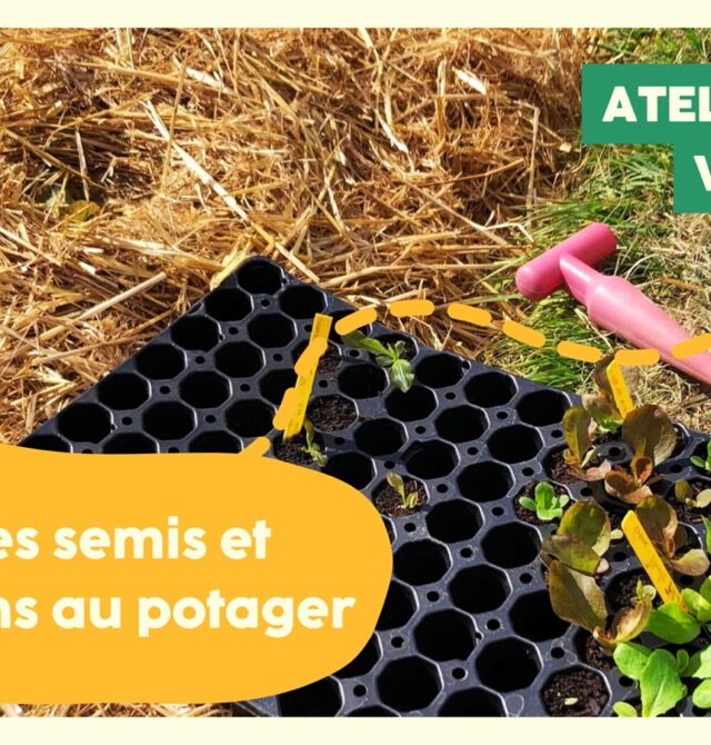 Atelier jardin : Faire ses semis et plantations au potager Le 4 avr 2025