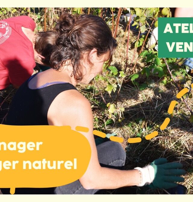 Atelier jardin : Aménager son potager naturel Le 28 fév 2025