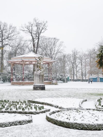 Balade botanique de Noël