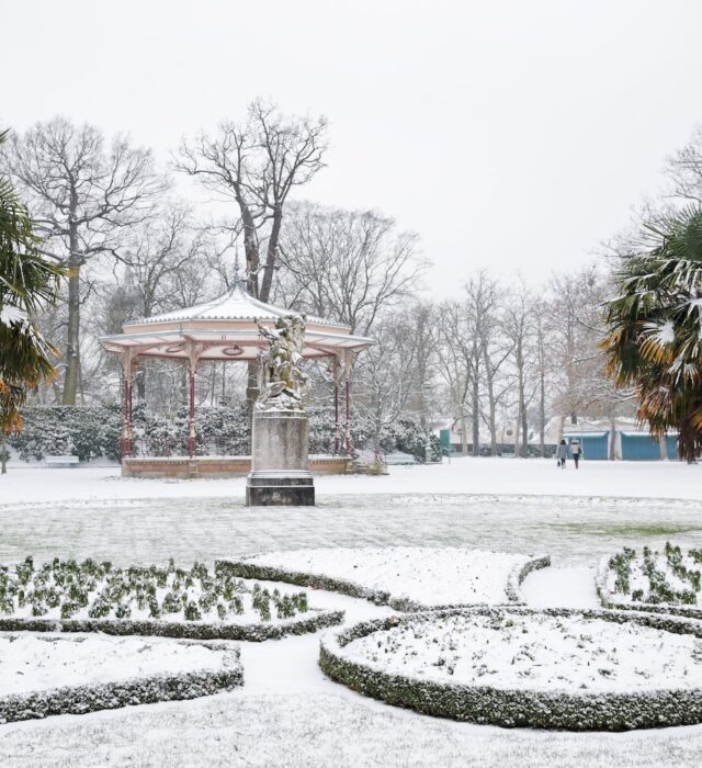 Balade botanique d