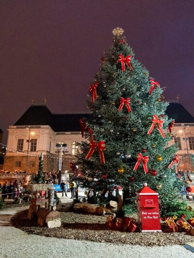 boite-aux-lettres-du-pere-noel-place-du-parlement-arnaud-loubry-25637