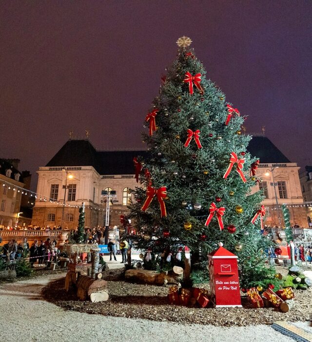 boite-aux-lettres-du-pere-noel-place-du-parlement-arnaud-loubry-25637