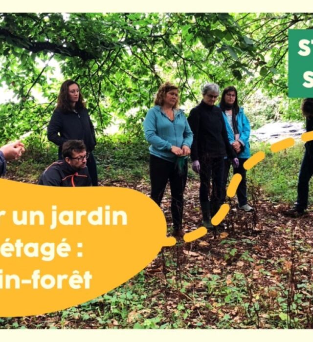 ((Stage 1 jour)) Concevoir un jardin multi-étagé... Du 8 mars au 26 avr 2025