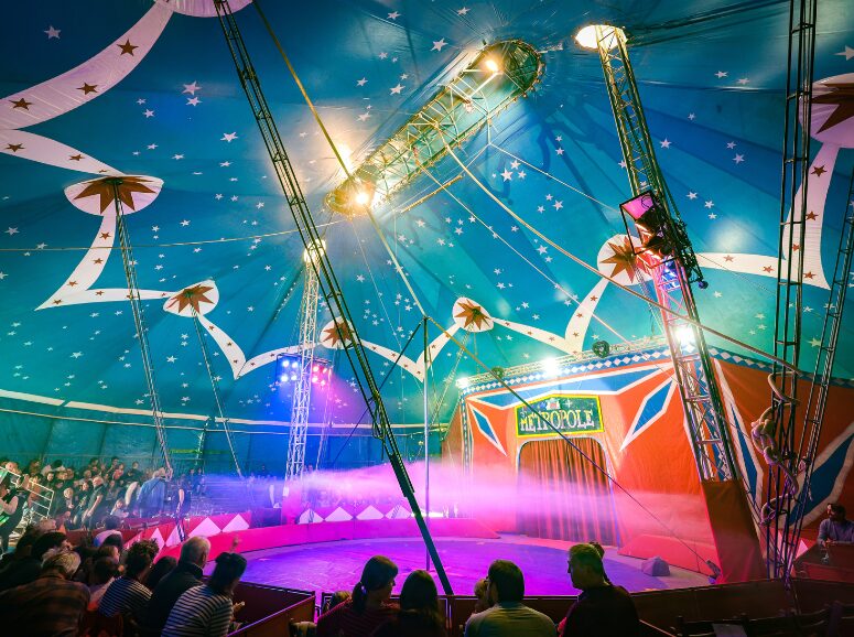 Cirque Métropole - Spectacle de Noël