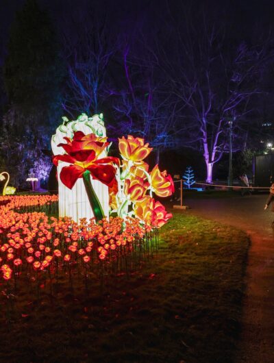 Au parc du Thabor de Rennes, l'Odyssée lumineuse est un spectacle nocturne féérique