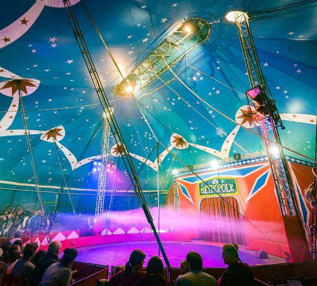 cirque-metropole-spectacle-de-noel-25661-26182.png