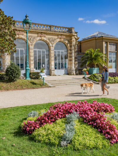 balade botanique d'été au Thabor Rennes